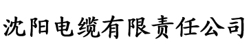 大菠萝APP视频网页入口电缆厂logo